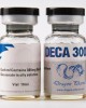 Deca 300 by Dragon Pharma