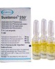 Sustanon 250