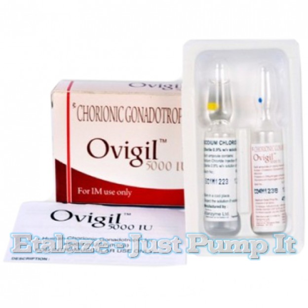 Ovigil HCG