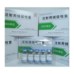 HCG China