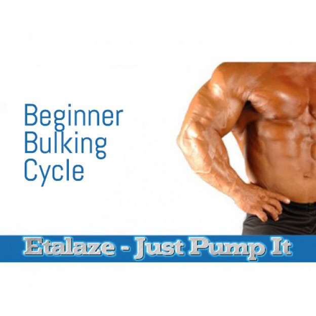 Beginner Dbol Oral Bulking Cycle