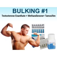 BULKING STEROID CYCLE #1 PRE SUMMER BULKING STEROID CYCLE #1 PRE SUMMER