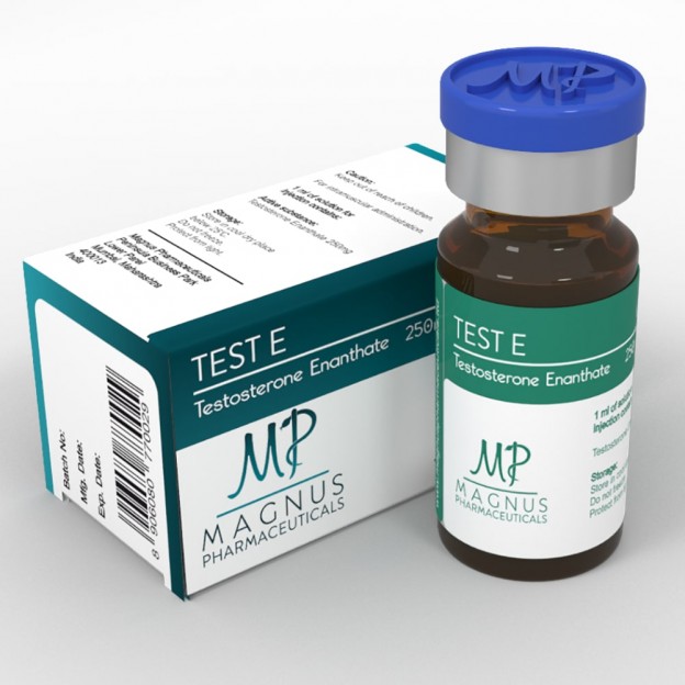 Test E Magnus Pharma 10ml [250mg/ml]