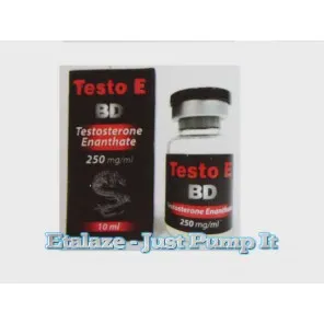 Testo E BD Testosterone Enanthate 250mg/ml, 10ml by Black Dragon