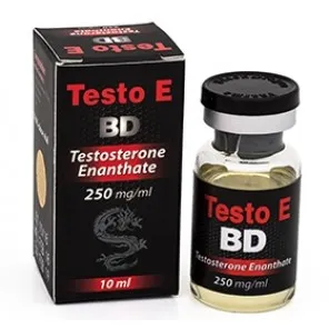 Testo E BD Testosterone Enanthate 250mg/ml, 10ml by Black Dragon