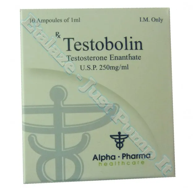 Testobolin Testosterone Enanthate 250mg/ml 10 Ampoules