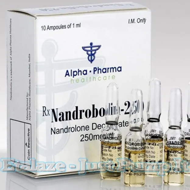 Nandrobolin Nandrolone Decanoate 250mg/ml 10 Ampoules Nandrobolin Nandrolone Decanoate 250mg/ml 10 Ampoules