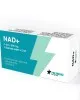 NAD+ 500mg (3 Vial) by HubioPharm