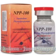 NPP 100 10ml by Global Anabolic