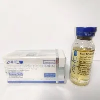 Testosterone Undecanoate 250mg 10ml by ZPHC