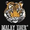 Malay Tiger