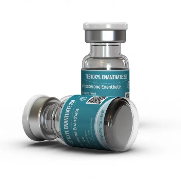Testoxyl Enanthate 250 by Kalpa Pharmaceuticals Testoxyl Enanthate 250 by Kalpa Pharmaceuticals