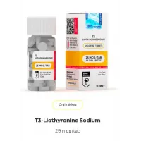 T3 Liothyronine Sodium by Hilma Biocare T3 Liothyronine Sodium by Hilma Biocare
