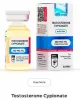 Testosterone Cypionate 250 mg/ml by Hilma Biocare