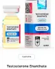 Testosterone Enanthate 250 mg/ml by Hilma Biocare